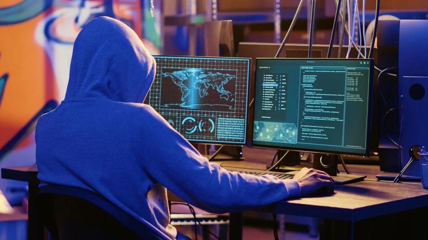 A spy aiming at government websites